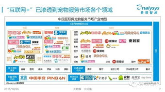 中国互联网宠物服务市场专题研究报告（2015简版） 互联网信息服务的融合与创新